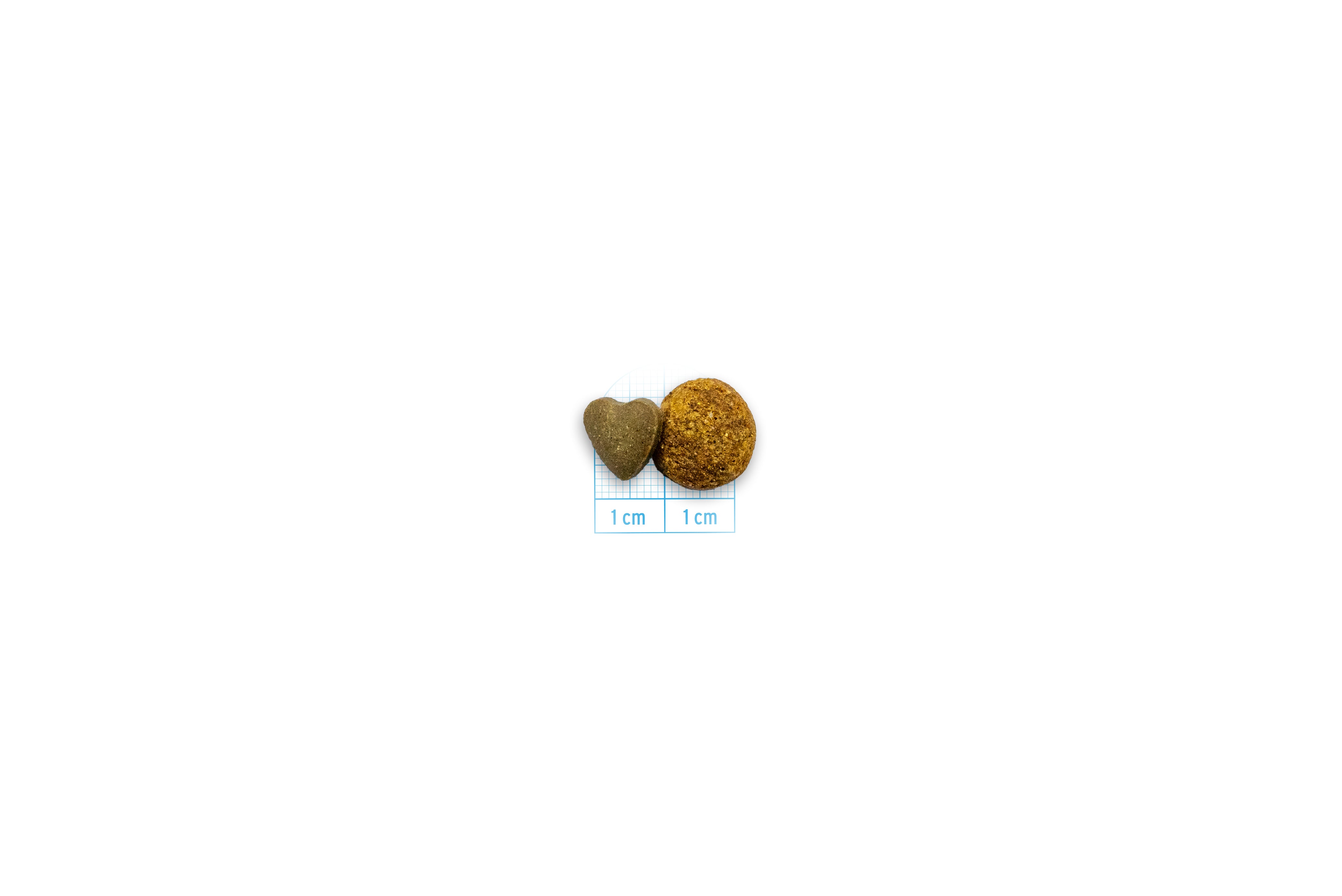 Crocchetta e compressa AFS Forza10 Renal Gatto con scala di confronto 1 cm Crocchetta e compressa AFS Forza10 Renal Gatto con scala di confronto 1 cm